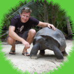 Seychellen Riesenschildkröte grün