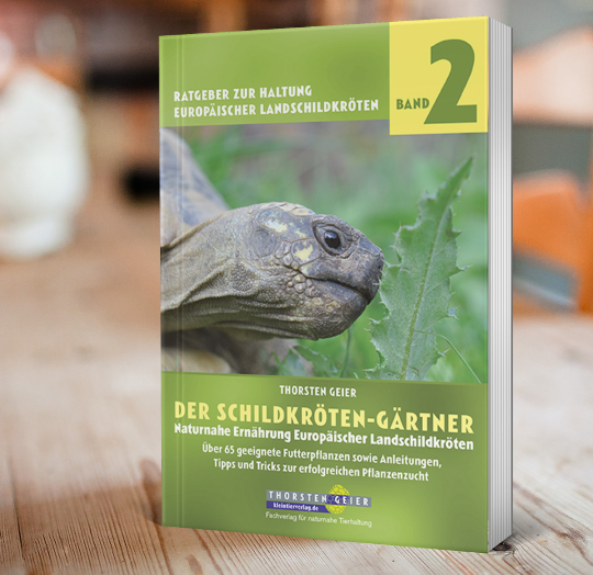 Der Schildkröten-Gärtner - Golliwoog-Empfehlung