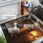 Frühbeet-Befestigung: Aufhängung an Ketten der Lampen und Beleuchtung für Landschildkröten