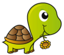 Schildkröten rucksack - Die besten Schildkröten rucksack im Vergleich!
