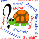 ▷ Schildkrötennamen - die 495 beliebtesten Namen für Schildkröten