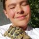 Griechische Landschildkröte genießt die letzten Sommerstunden