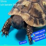 Griechische Landschildkröten NZ 2020 und 21 zu verkaufen